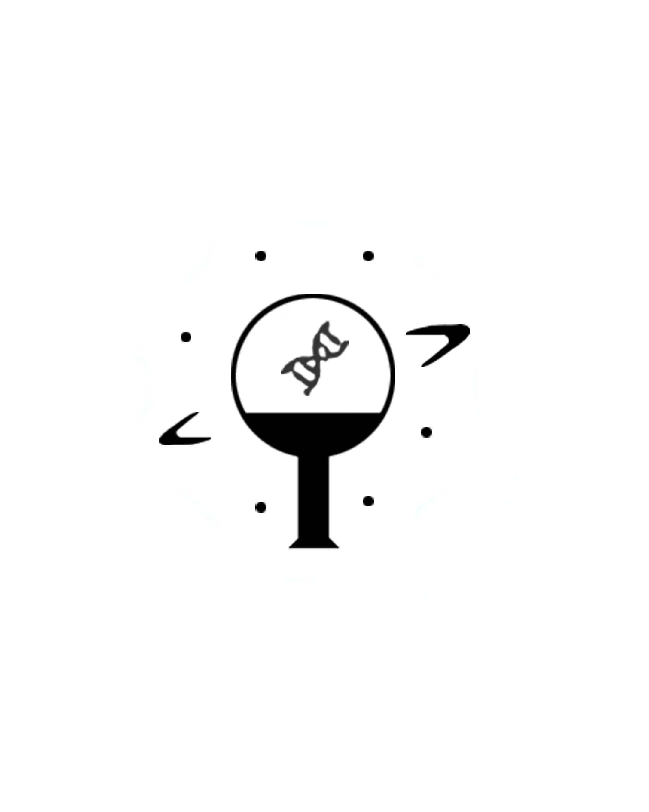 SA_logo