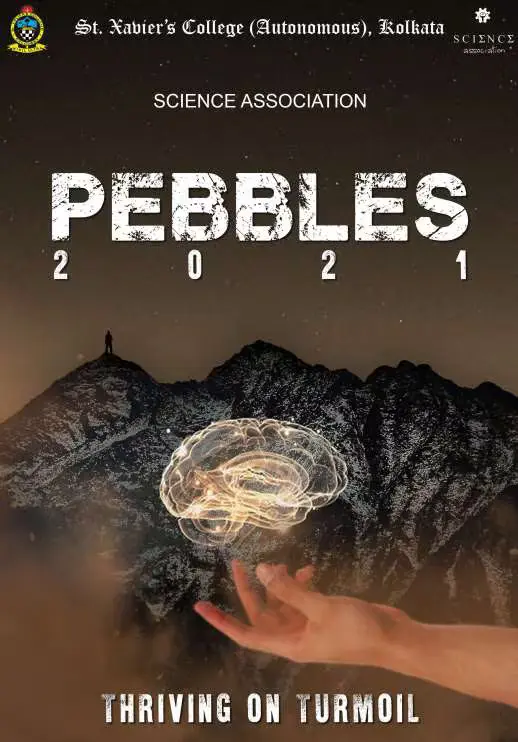 Pebbles21