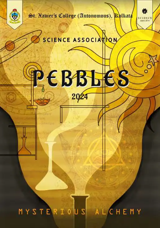 Pebbles24