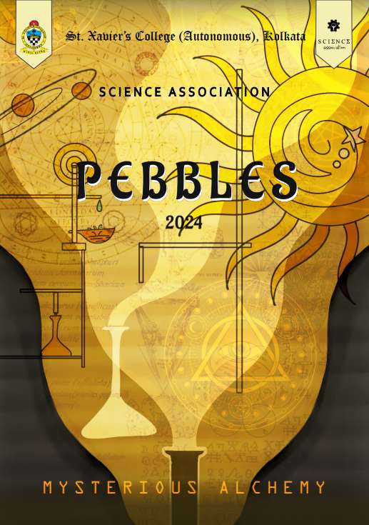 pebbles24